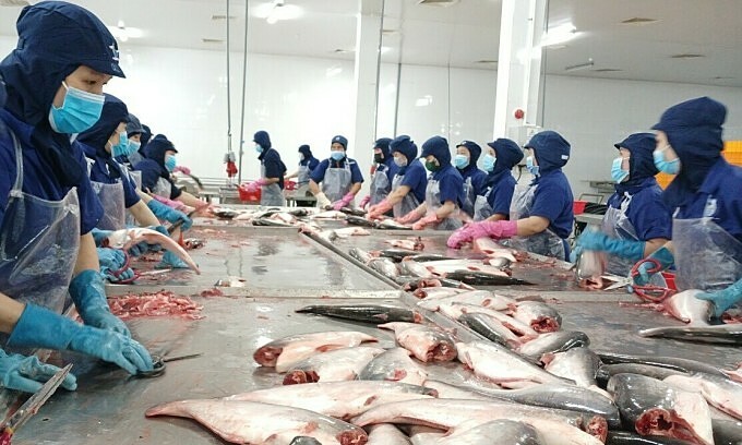 Catfish exports to China plummet