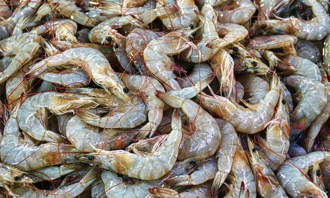 Shrimp exports to US surge in September